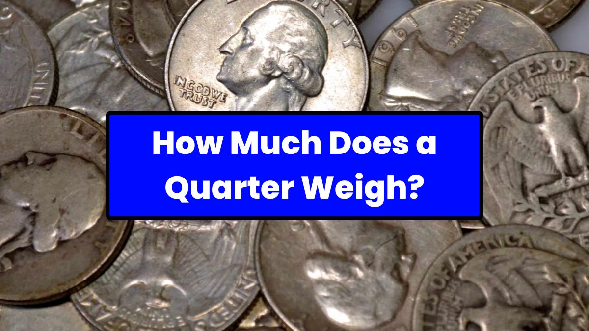 How Much Does a Quarter Weigh?